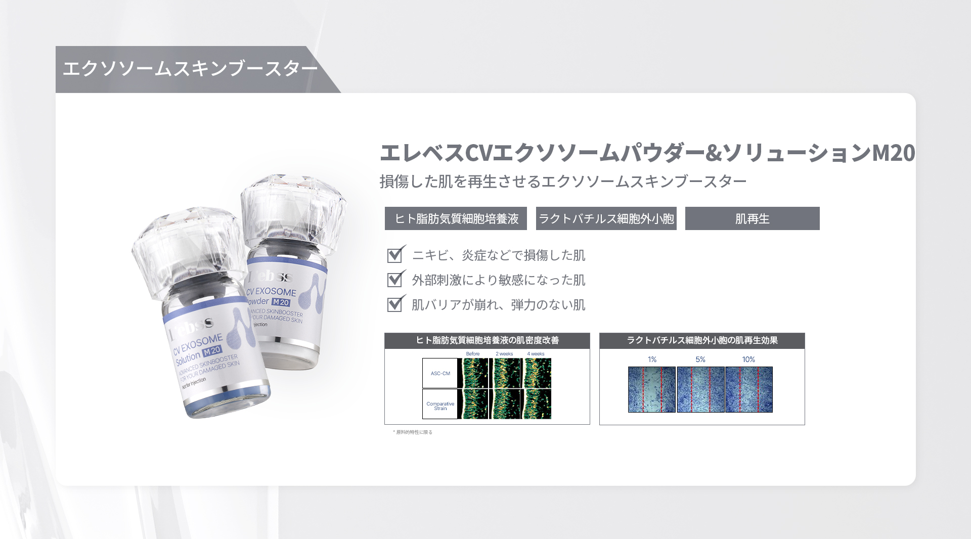 エレベス6